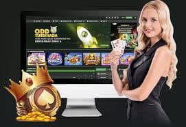 qq8883
